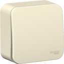 Schneider Electric Blanca BLNVA061022 Выключатель одноклавишный с монтажной пластиной (6 А, в сборе, открытая установка, молоко)