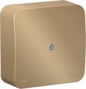 Schneider Electric Blanca BLNRK000014 Коробка распределительная (универсальная, титан)