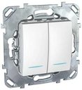 Schneider Electric Unica MGU5.0101.18NZD Выключатель двухклавишный с подсветкой (10 А, под рамку, 2Р, скрытая установка, белый)