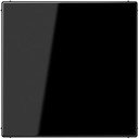 JUNG LS990 LS994BSW Заглушка (под рамку, скрытая установка, черная)