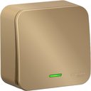Schneider Electric Blanca BLNVA106114 Переключатель одноклавишный с изолирующей пластиной (10 А, в сборе, подсветка, открытая установка, титан)