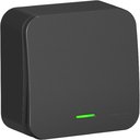 Schneider Electric Blanca BLNVA106116 Переключатель одноклавишный с изолирующей пластиной (10 А, в сборе, подсветка, открытая установка, антрацит)