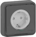 Schneider Electric Mureva S MUR36132 Розетка одинарная с заземляющим контактом (16 А, IP55, в сборе, шторки, скрытая установка, антрацит)