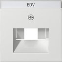 Gira System55 028403 Крышка розетки информационной (RJ11/RJ45, UAE/IAE, надпись, белая глянцевая)