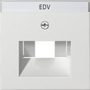 Gira System55 028427 Крышка розетки информационной (RJ11/RJ45, UAE/IAE, надпись, белая матовая)
