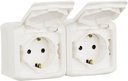 Legrand Quteo 782323 Розетка двойная с заземляющим контактом, шторками и крышкой (16 А, в сборе, открытая установка, IP44, белая)