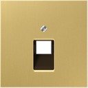 Крышка розетки телефонной/компьютерной LS metal (RJ11/RJ45, латунь)