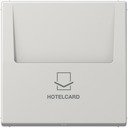 Jung LS590CARDLG Накладка карточного выключателя (светло-серая)