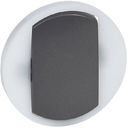 Legrand Celiane 065204 Клавиша одиночная (подсветка, графит)