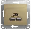 Schneider Electric Glossa GSL000433 Розетка USB (2xUSB, под рамку, скрытая установка, титан)