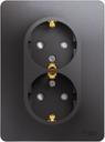 Schneider Electric Glossa GSL001326 Розетка двойная с заземляющим контактом (16 А, IP20, под рамку, скрытая установка, шторки, графит)
