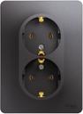 Schneider Electric Glossa GSL001324 Розетка двойная с заземляющим контактом (16 А, IP20, под рамку, скрытая установка, графит)