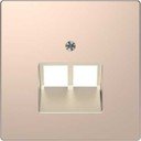 Schneider Electric Merten D-Life MTN4522-6051 Крышка розетки информационной (2xRJ45, шампань)