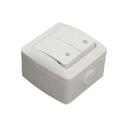 ABB Eva 554-011500-211 Выключатель двухклавишный (10 А, в сборе, IP54, проходная, о/у, серый)