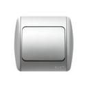 ABB Zirve 501-001010-217 Розетка (10 А, в сборе, с/у, з/к, платина)