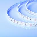 Arlight RS 2-5000 013346 Светодиодная лента 12В Blue 2x (335, IP33, 600 LED, 5 м)