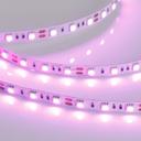 Arlight RT 2-5000 015975 Светодиодная лента 12В Pink 2x (5060, IP33, 300 LED, LUX, 5 м)
