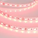 Arlight RT 2-5000 012343 Светодиодная лента 12В Red 2x (5060, IP33, 300 LED, LUX, 5 м)