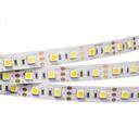 Arlight RT 2-5000 011093 Светодиодная лента 12В White-MIX 2x (5060, IP33, 300 LED, LUX, 5 м)