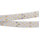 Arlight RT 2-5000 019924 Светодиодная лента 24В Cool 3x2 (2835, IP33, 1260 LED, LUX, 5 м)