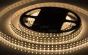 Arlight RT 2-5000 020389 Светодиодная лента 24В Warm3000 2x2 (2835, IP33, 980 LED, LUX, 5 м)