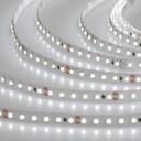 Arlight RT 2-5000 010347 Светодиодная лента 24В White 2x (3528, IP33, 600 LED, LUX, 5 м)