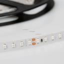 Arlight RT 2-5000 008780 Светодиодная лента 24В Yellow 2x (3528, IP33, 600 LED, LUX, 5 м)