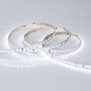 Arlight RT 2-5000 015002 Светодиодная лента 36В White 2x (3528, IP33, 600 LED, LUX, 5 м)