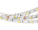 Arlight RT2 014388 Светодиодная лента 12В Warm White (5050, IP33, 150 LED, 5 м)