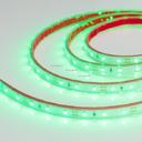 Arlight RTW 2-5000P 014965 Светодиодная лента 12В Green (3528, IP66, 300 LED, LUX, 5 м)