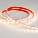 Arlight RTW 2-5000P 011509 Светодиодная лента 12В Warm (3528, IP66, 300 LED, LUX, 5 м)