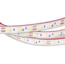 Arlight RTW 2-5000P 012388 Светодиодная лента 12В White 2x (5060, IP66, 300 LED, LUX, 5 м)