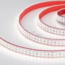 Arlight RTW 2-5000P 014953 Светодиодная лента 24В Day White2x2 (3528, IP66, 1200 LED, LUX, 5 м)