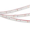 Arlight RTW 2-5000PGS 013393 Светодиодная лента 12В Blue (3528, IP67, 300 LED, LUX, 5 м)