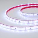 Arlight RTW 2-5000PGS 016839 Светодиодная лента 12В Cool (3528, IP67, 300 LED, LUX, 5 м)