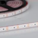Arlight RTW 2-5000PGS 013405 Светодиодная лента 12В Red 2x (3528, IP67, 600 LED, LUX, 5 м)
