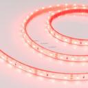 Arlight RTW 2-5000PGS 013394 Светодиодная лента 12В Red (3528, IP67, 300 LED, LUX, 5 м)