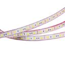 Arlight RTW 2-5000PGS 012306 Светодиодная лента 12В Yellow 2x (5060, IP67, 300 LED, 5 м)