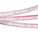 Arlight RTW 2-5000PGS 013404 Светодиодная лента 24В Red 2x (3528, IP67, 600 LED, LUX, 5 м)