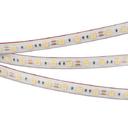 Arlight RTW 2-5000PS 022324 Светодиодная лента 12В Day White 2x (5060, IP67, 300 LED, LUX, 5 м)