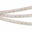 Arlight RTW 2 Warm3000 022325 Светодиодная лента 12В (5060, IP67, 300 LED, LUX, 5 м)