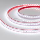 Arlight RTW 2-5000PS 022321 Светодиодная лента 24В White 2x (3528, IP67, 600 LED, LUX, 5 м)