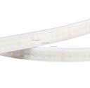 Arlight RTW 2-5000PW 018999 Светодиодная лента 24В Warm 2x2 (3528, IP66, 1200 LED, LUX, 5 м)
