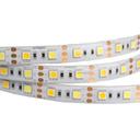 Arlight RTW 2-5000SE 020559 Светодиодная лента 12В White-MIX 2x (5060, IP65, 300 LED, LUX, 5 м)