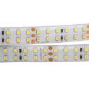 Arlight RTW 2-5000SE 020560 Светодиодная лента 24В White-MIX 2x2 (3528, IP65, 1200 LED, LUX, 5 м)