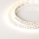 Arlight Microled-5000HP 023590 Светодиодная лента 24В Warm3000 10mm (2216, IP33, 300 LED, LUX, 5 м)
