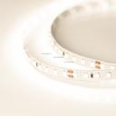 Arlight RT 2-5000 021411 Светодиодная лента 24В Warm3000 2x (2835, IP33, 600 LED, 5 м)