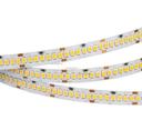 Arlight RT 2-5000 023555 Светодиодная лента 24В White5500 10mm (2835, IP33, 252 LED/m, LUX, 5 м)