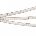Arlight RTW 2 Day White 021100 Светодиодная лента 12В (3528, IP67, 300 LED, LUX, 5 м)