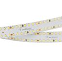 Arlight S2-2500 021199 Светодиодная лента 24В Warm (2835, IP33, 280 LED/m, LUX, 2.5 м)